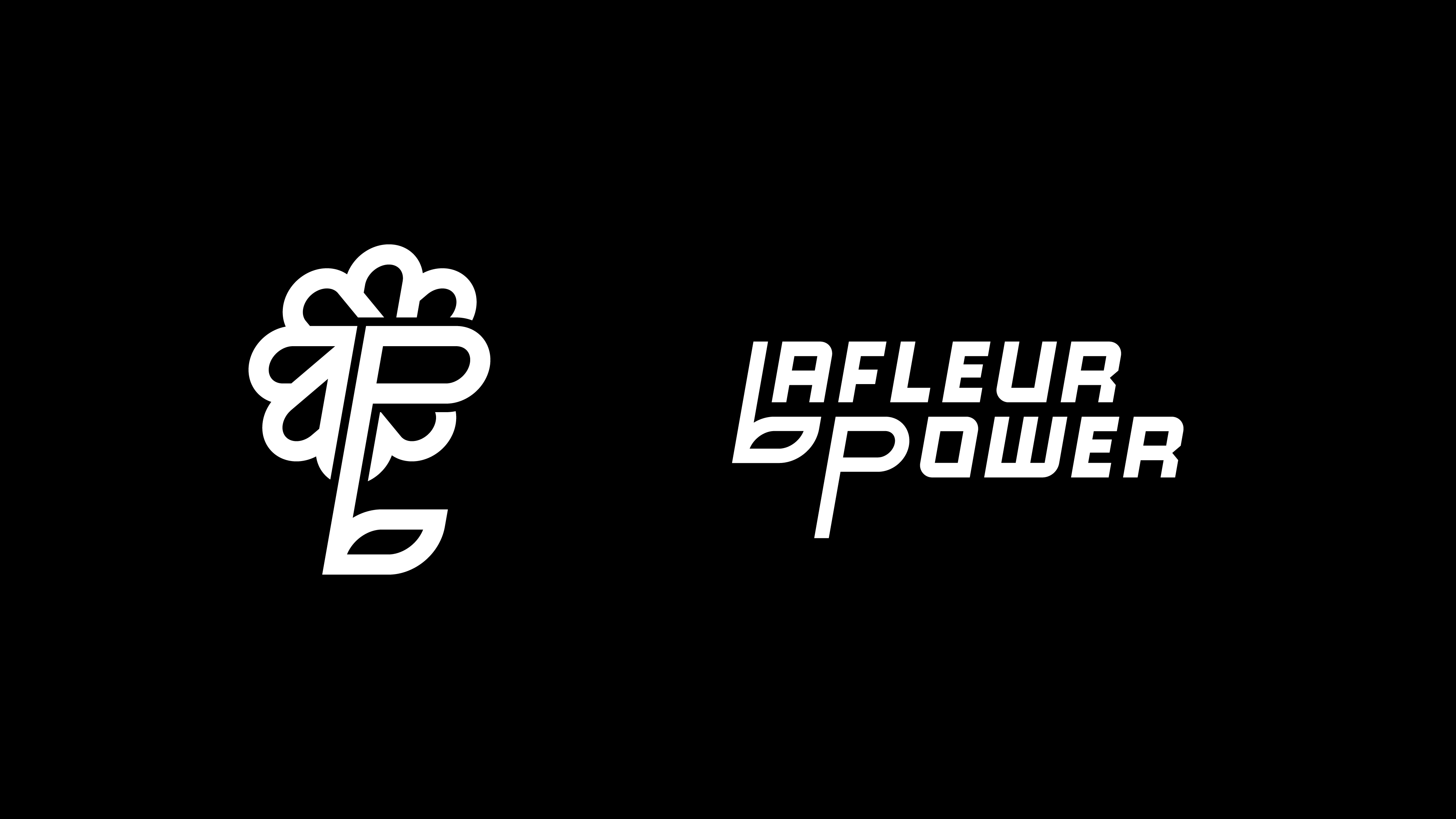 Lafleur Power